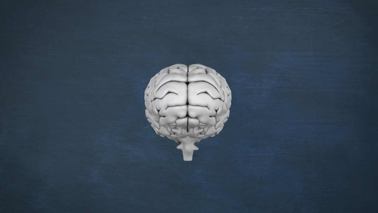 cerebro gris con dibujo de objetos de estudio