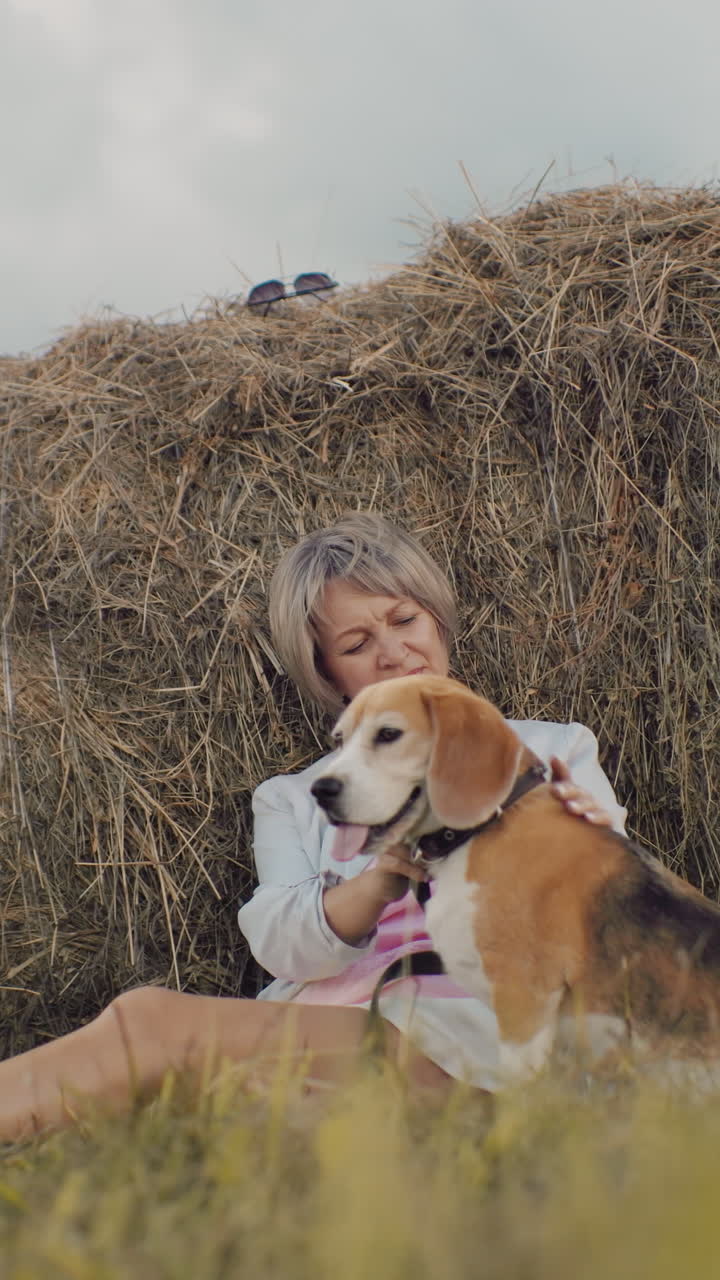 Middle-aged woman wearing sunglasses sits against hay bale, rubbing dog back as it pants happily, rolling hills, golden grass, and cloudy sky create a warm