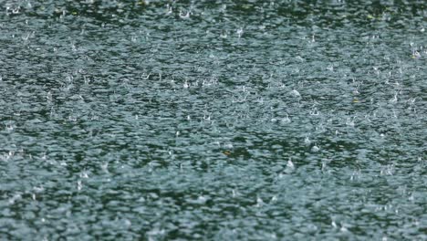 sfondo astratto, gocce di pioggia sull'acqua.