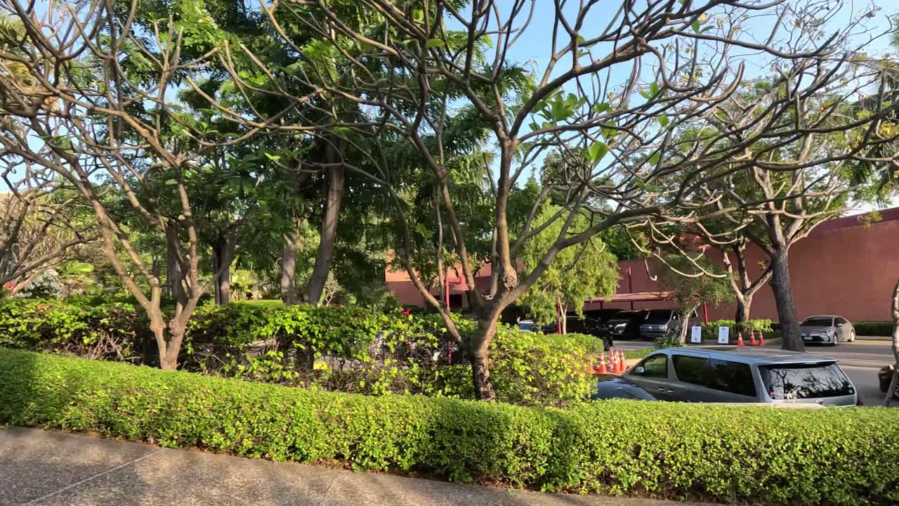 푸른 열대 휴양지 를 평화롭게 산책 하는 것