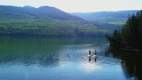 couple rowing a stand up paddle board in the river 4k