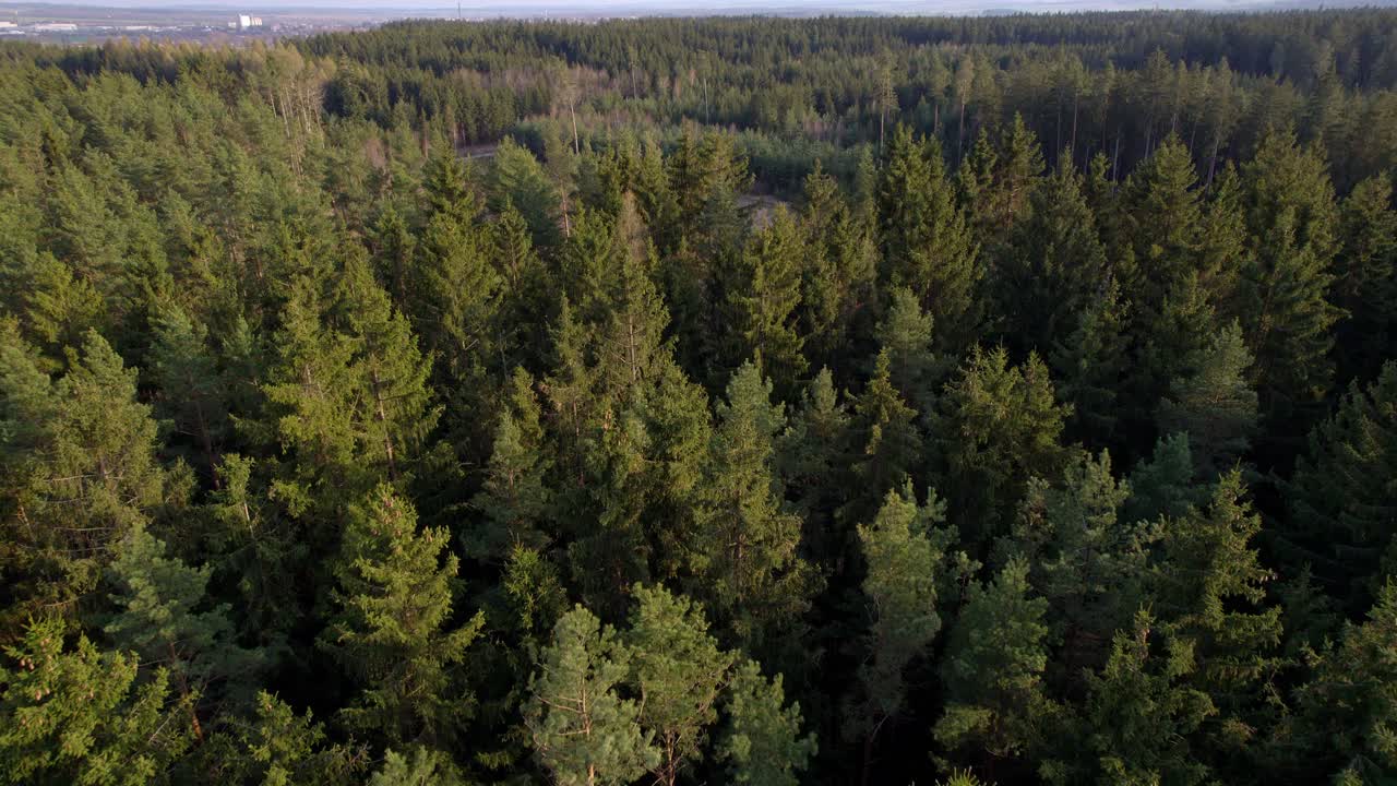 Vue aérienne en plongée d'arbres forestiers, écosystème de forêt tropicale humide et concept d'environnement sain en arrière-plan, texture de forêt d'arbres verts vue du dessus.