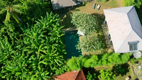 Antena-De-Arriba-Hacia-Abajo-Que-Rodea-Una-Piscina-Tropical-En-El-Patio-Trasero-En-Lovina-Bali-Indonesia-En-Un-Día-Soleado-De-Verano