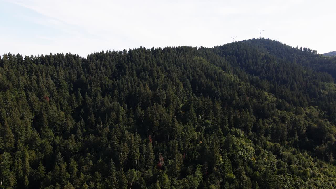 Aerea: Esplora i pittoreschi paesaggi della Germania con affascinanti riprese drone che catturano la serena bellezza di dolci montagne, fitte foreste, in tutta la campagna
