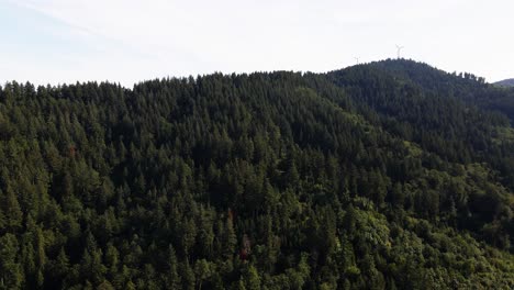 Luftaufnahmen:-Erkunden-Sie-Die-Malerischen-Landschaften-Deutschlands-Mit-Faszinierenden-Drohnenaufnahmen,-Die-Die-Ruhige-Schönheit-Sanfter-Berge-Und-Dichter-Wälder-In-Der-Gesamten-Landschaft-Einfangen