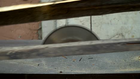 circular saw. the wizard cuts a wooden board on a circular saw. close-up.