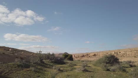 tilt down from sky to desert ground with green plants after rain