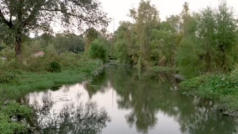 Estanque-De-Pantano-De-Humedales-De-Louisiana-En-Medio-Del-Parque-De-La-Ciudad