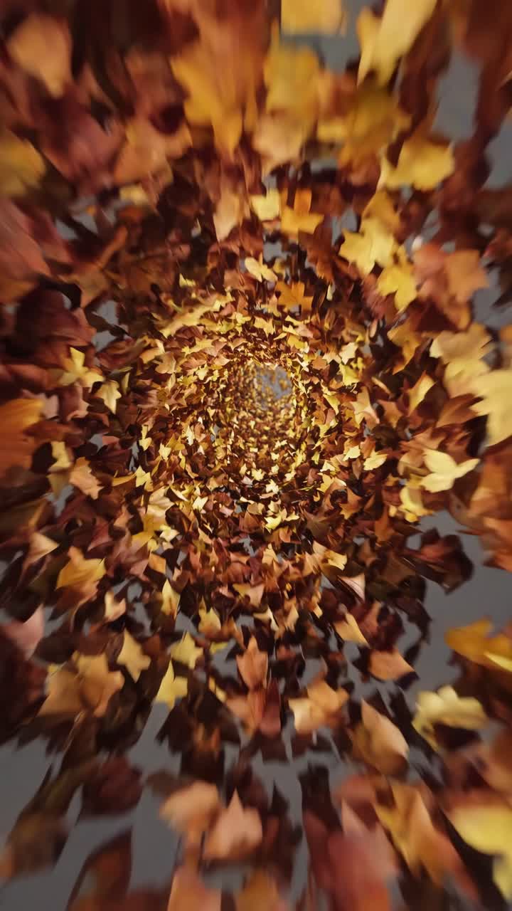 가을 잎 소용돌이