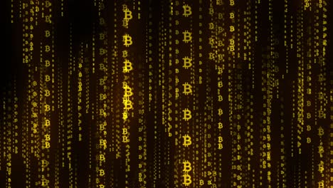 matrix style bitcoin symbol backdrop, falling crypto symbols