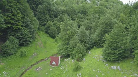 Borov-Kamak,-Vratsa,-Bulgaria,-creek-in-the-forest