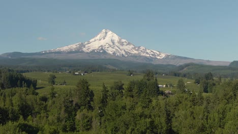 aerial view of american landscape and green farm fields with mount hood in the background