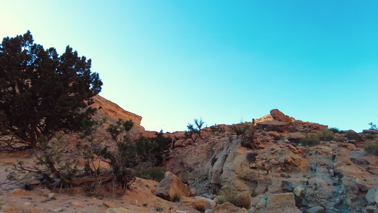 알제리의 사하라 사막 비스크라