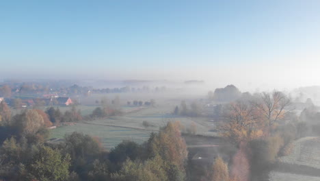 Drone-shot-in-the-morning-with-a-bright-sun-and-dew-with-light-rays-shining-through-the-trees-and-birds-passing-by-LOG