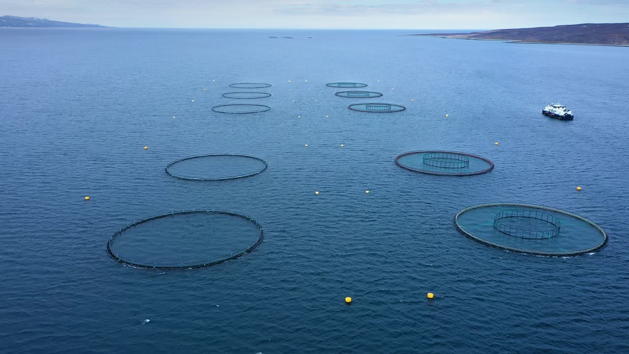 노르웨이에서 연어  ⁇ 시를 하는 공중 촬영