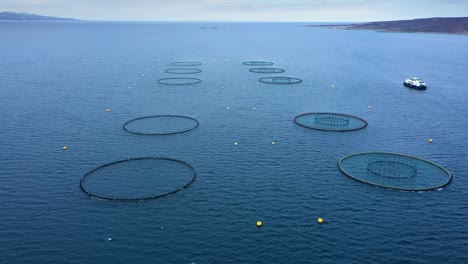 Aerial-footage-Farm-salmon-fishing-in-Norway