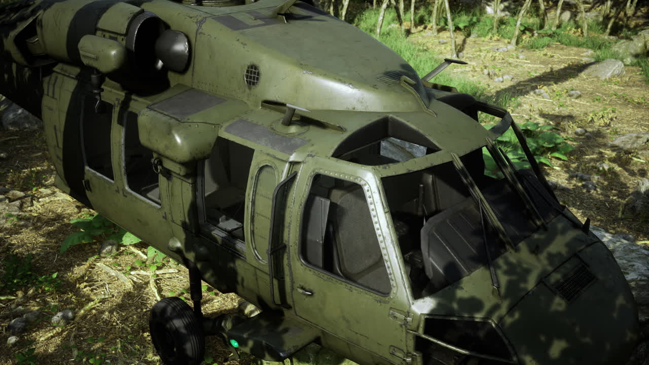 Military helicopter parked in a forested area during daylight hours