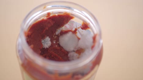 el moho crece en un frasco de pasta de tomate