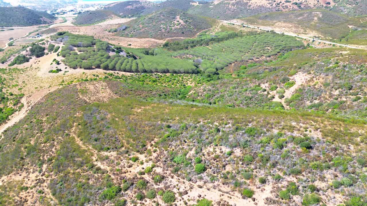 vista aerea su paesaggio accidentato, alberi verdi, terra secca, portogallo, 4k
