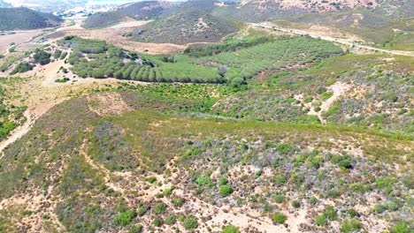 aerial view over rugged landscape, green trees, dry land, portugal, 4k