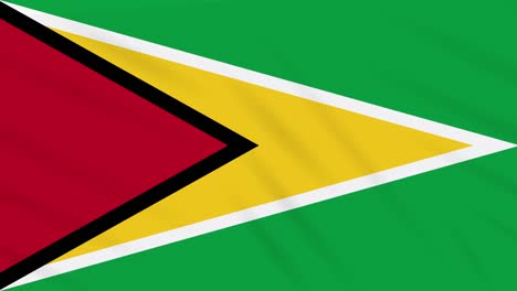 guyana flag waving cloth, background loop