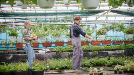 farmer explaining to colleague in greenhouse