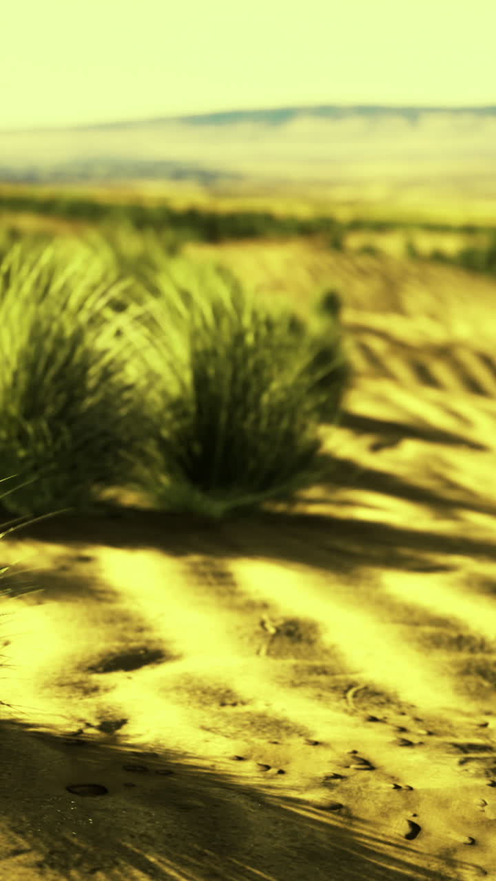 Flowing grasslands provide a breathtaking view at sunset in a quiet landscape