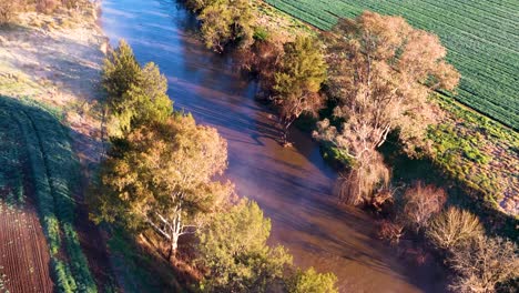 drone camera glides above a winding river bordered by trees and green farmland in early morning light, casting long shadows and revealing misty, tranquil scenery