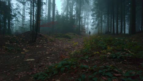 Figura-Oscura-Caminando-En-Un-Espeluznante-Bosque-Oscuro-En-Otoño