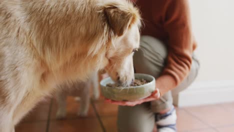 Mujer-Caucásica-Alimentando-A-Su-Perro-Mascota-Del-Tazón-En-La-Cocina-De-Casa