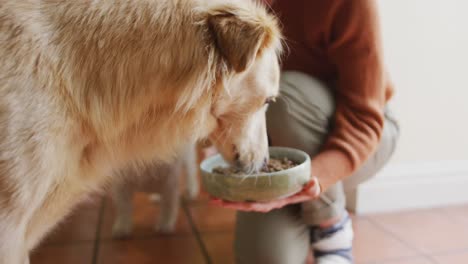 mujer caucásica alimentando a su perro de mascota de un cuenco en la cocina en casa