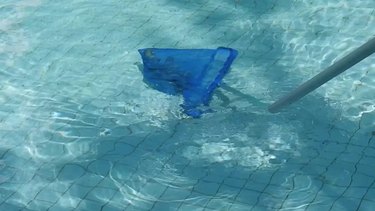 Detailed view of a skimmer net removing debris from a pool's surface, showcasing water clarity and net action.