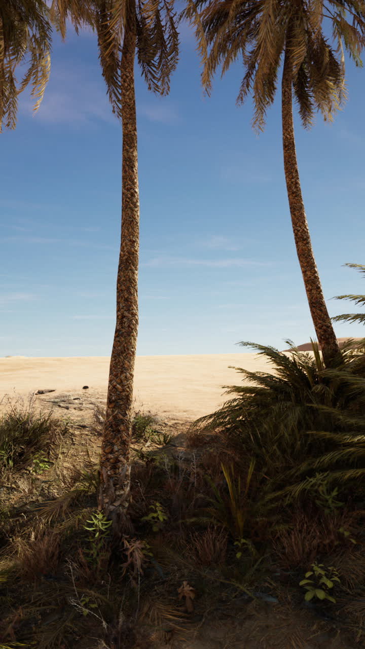 безмятежный оазис в пустыне с пальмами