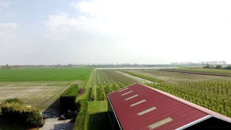 Large-shed-next-to-beautiful-colorful-fields-in-the-Netherlands