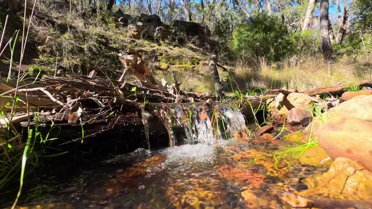 Camera rises from underwater revealing a flowing freshwater stream in Warrumbungle, Australia.