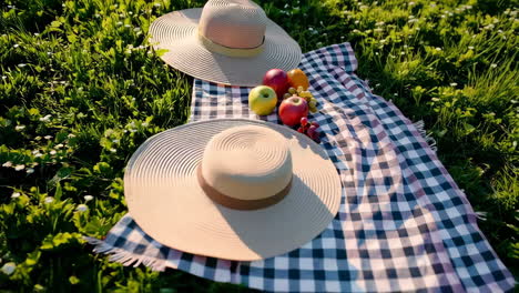 picnic in the park with fruits and straw hats