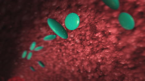 microscopic view of bacteria and cells