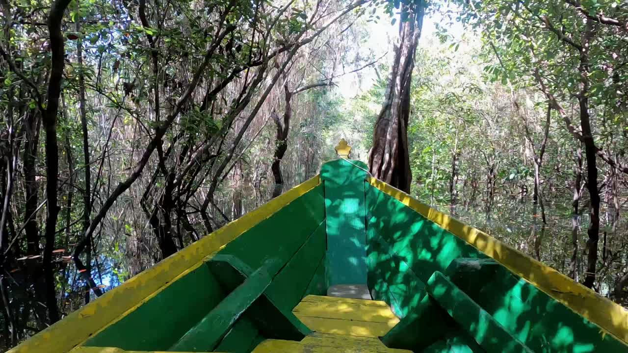 A colourful wooden boat moves through the Enchanted Forest , in State of Par&aacute;, Brazil