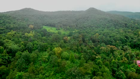 Riesiges-Indisches-Bauernland-Im-Dschungel-Unter-Dem-Wunderschönen-Berg