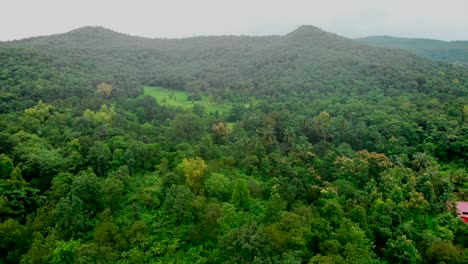 enorme tierra agrícola india en jungel bajo la montaña hermosa
