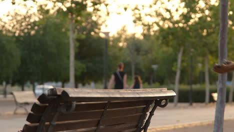 dog jumping off a park bench at sunset, slow motion video, 240 fps