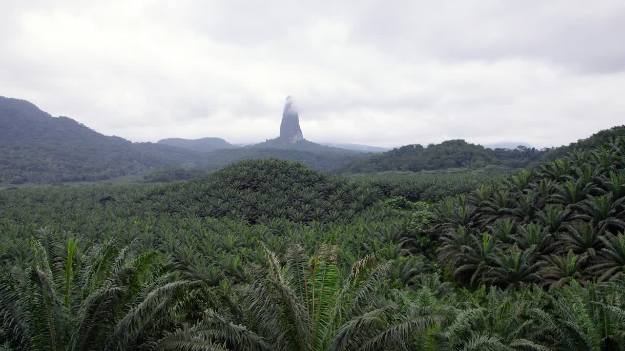 Pico Cão Grande, São Tomé — a dramatic volcanic plug rising from lush rainforest in Obô Natural Park, an iconic African landmark