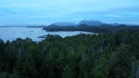 Lush-forest-and-rugged-coastline-in-Tofino-in-Canada-with-mountains-in-distance