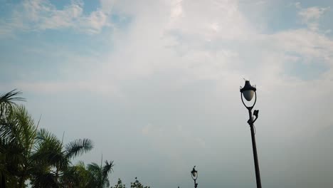 quiet scenic view of harni lake walkway in vadodara with palm trees, lamp posts and city in backdrop. ideal for india tourism, city parks and relaxing urban environments.