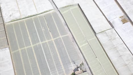 Aerial-tilt-down-shot-over-a-greenhouse-farmland-in-the-south-of-Spain