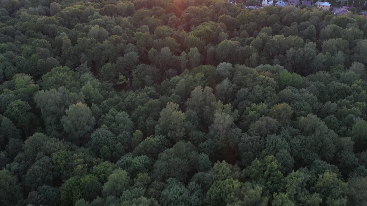リトアニア、カウナスの都市公園
