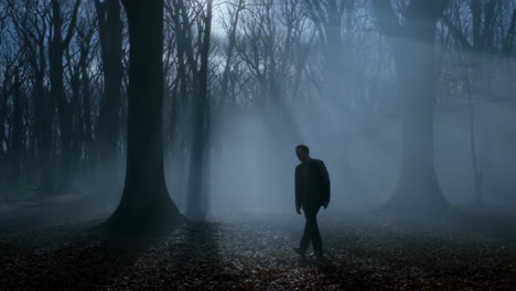 mysterious figure in foggy forest