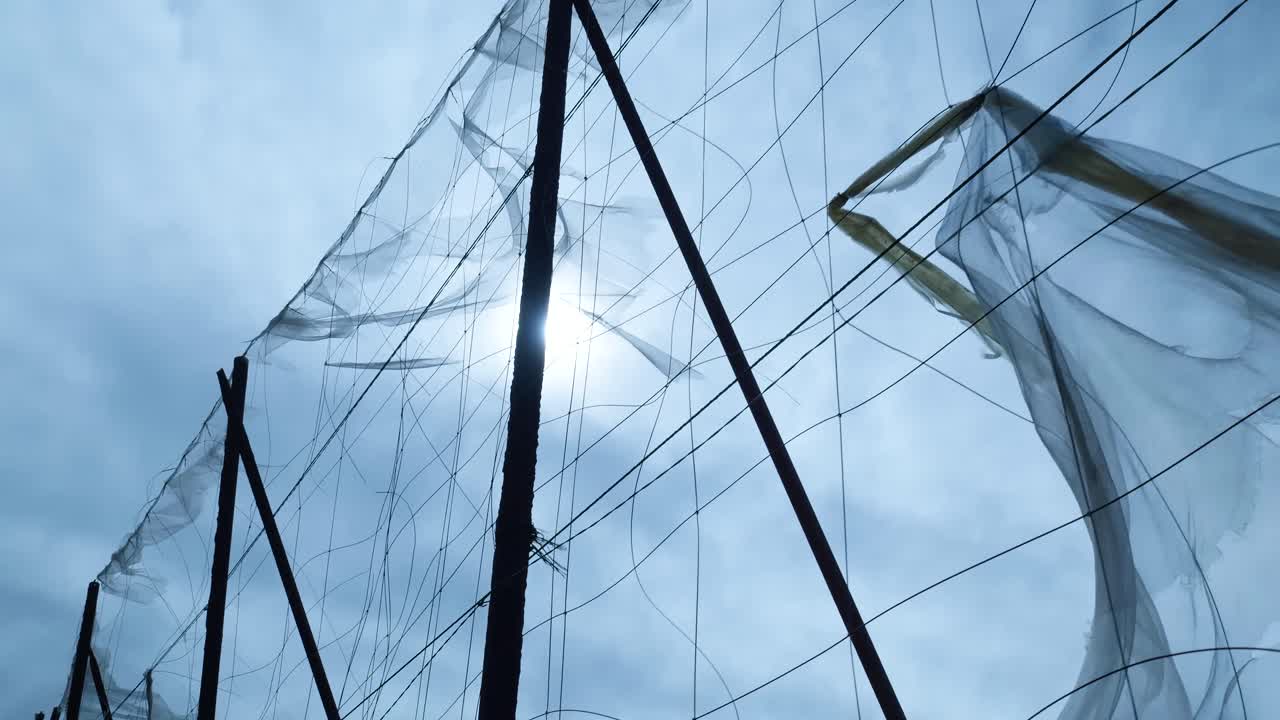 Trellis Netting Swaying in Wind Against Cloudy Sky with Sun