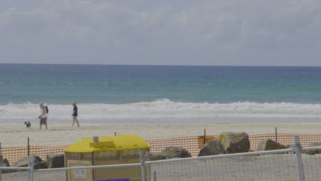 two people walking a dog on the beach