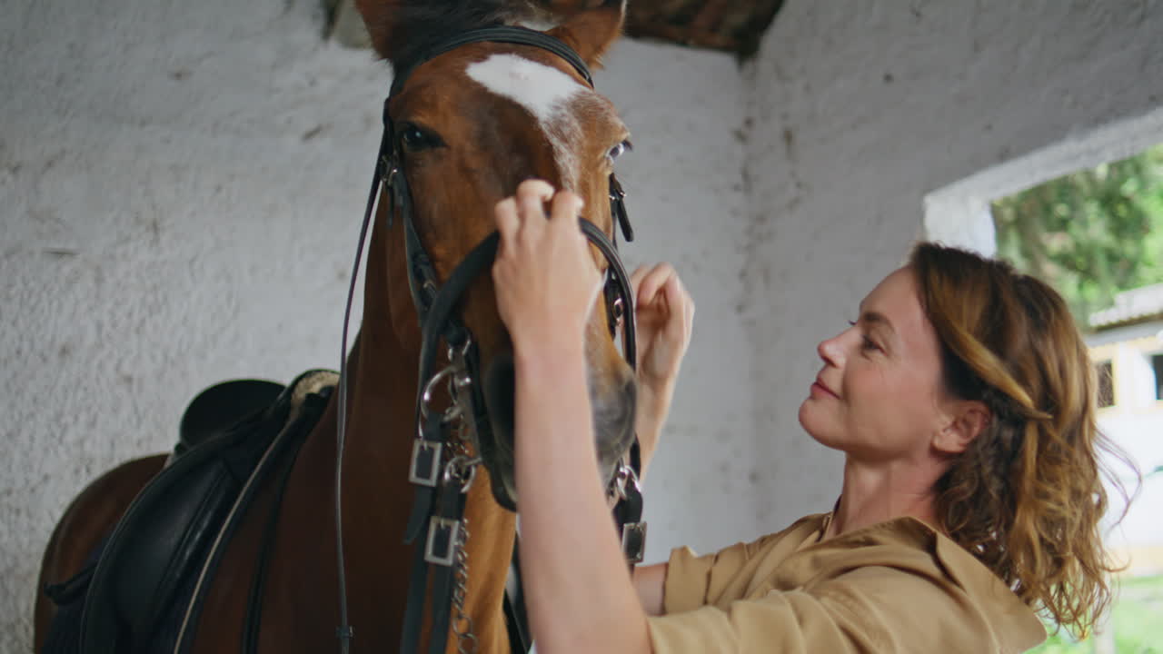 Horse owner fastening bridle on pet at peaceful barn with warm sunlight closeup